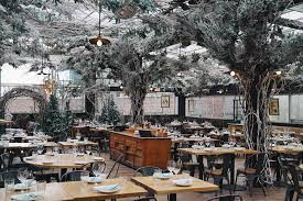 Pin On Winter Garden