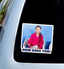 How Dare You Meme Greta Thunberg Car Sticker Decal Window Etsy In 2020 Car Stickers Jdm Oracal Vinyl