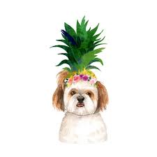 We did not find results for: Pineapple Flower Floral Crown Shih Tzu Puppy Dog Fine Art Print Roar And Soar S Artist Shop