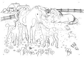 Um die ausmalbilder von schleich auszudrucken, bitte auf das kleine vorschaubild klicken. Pferde Ausmalbilder Horse Coloring Pages Animal Coloring Pages Animal Coloring Books