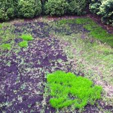 Find funny gardening photos, gardening humor, hilarious garden decorations, garden theme cartoons, and humorous garden images. Single Man S Garden Garden Plants Outdoor Decor