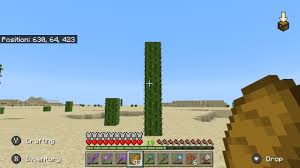 Cacti cannot be placed onto sandstone despite the similar name. Remember The Tall Cactus Search Yeah I Just Stumbled Across A 5 Block Tall Cactus On Accident Unless Bedrock Edition Has This More Frequent It Should Be A Rare Sight Right Minecraft