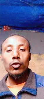 Insights from Creator Search: Tesfaye cha 7