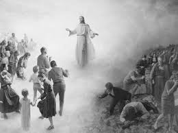Image result for the sheep from the goats in the bible