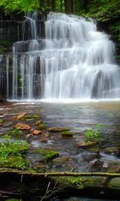Fondo De Pantalla Agua En Movimiento Gratis Pesquisa Google Cascadas Jardines Bonitos Fondo