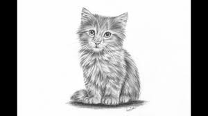 Start with a circle for for the shape of cat's face and add two circles for the body. How To Draw A Realistic Kitten Part 2 Fur And Details Leontine Van Vliet Youtube