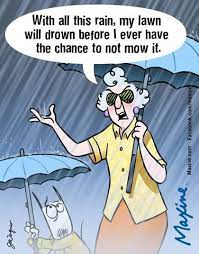 Pin On Maxine