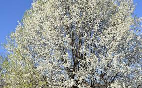 We did not find results for: What S That Smell In Northwest Arkansas The Free Weekly