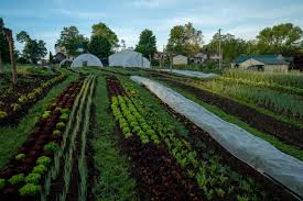 With the help of the patches and the update packs, . Can California S Organic Vegetable Farmers Unlock The Secrets Of No Till Farming Civil Eats