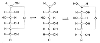 Глюкоза (в крови), глюкоза в плазме, blood glucose, сахар в крови. Glukose Monosaccharid Kohlenhydrat Chemischen Eigenschaft