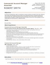 For an experienced property manager. Commercial Account Manager Resume Samples Qwikresume