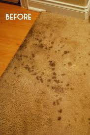 Maybe you would like to learn more about one of these? 31 Ways To Seriously Deep Clean Your Home Cleaning Hacks How To Clean Carpet Diy Cleaning Products