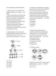 Jumlah kromosom sel somatik manusia adalah 46 buah, sedangkan pada gamet berjumlah. Kumpulan Soal Latihan Sma Kelas Xii Bab Pembelahan Sel