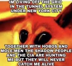 Pin By John Crocker On Memes Doge Funny Dog Gifts Memes Funny Memes