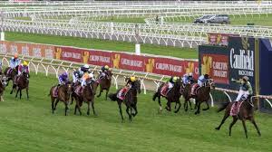 Think big won in 1974 and 1975. Melbourne Cup 2021 All You Need To Know About The Race That Stops Two Nations Stuff Co Nz