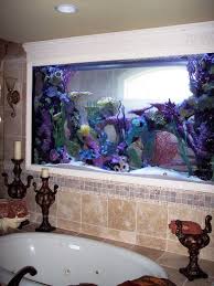 Aquarium Adventure Chicago Aquarium Fish Tank Saltwater Fish Tanks Fish Tank