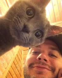 Natalie Brehm (@areyoukitchenme) • Instagram photos and videos