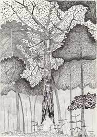 Francis Halle A Life Drawing Trees Interview With Emauele Coccia L Officiel