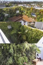 Secret Gardens In Sao Paolo City Apartment Create A Jungle Atmosphere Patio Garden Plants Concrete Jungle