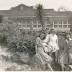 Orlando Retro: 31 historic photos of the Harry P. Leu building