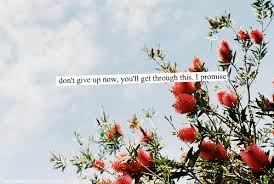 April showers bring may flowers. Wildflower Quotes Tumblr Tumblr Quotes Tumblr Uploaded By Kali On We Heart It Dogtrainingobedienceschool Com