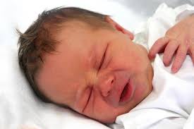 Fotogalerie: Právě jsme se narodili