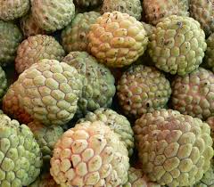 Image result for Annona squamosa