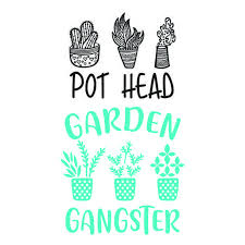 Cuttable Designs Svg On Instagram Pot Head Garden Gangster Svg Cuttable Design Svg Svgfile Svg Cricut Projects Vinyl Succulent Decals Funny Vinyl Decals