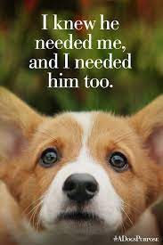 every dog happens for a reason a dog s purpose in theaters january 27 a dogs purpose dog quotes dog quotes funny
