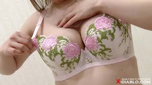 F乳美巨乳の下着着替えシーンを覗き見る - XNXX.COM