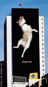 Funny Pedigree Dog Food Billboard Advertisement Advertising Design Creative Advertising Outdoor Advertising