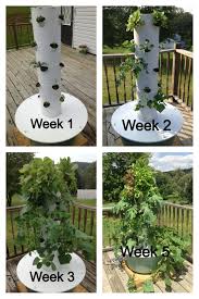 Look At What You Could Be Growing In Your Very Own Aeroponic Tower Garden Http Byronhayes Towergarden Com Tower Garden Tower Garden Diy Vertical Garden