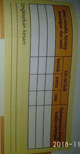 We did not find results for: Prakarya Kelas 8 Kurtilastolong Berikan Contohnya Brainly Co Id