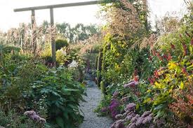 Robert Mabic Garden Photographer S Association