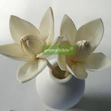 Check spelling or type a new query. 1000 Pcs Lot Sola Flowers Natural White Fragrance Flower Diffusers With Rope For Frangrance Diffuser Wholesale Price Flower Diffuser Sola Flowersflowers Natural Aliexpress