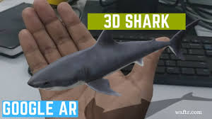 How To See 3d Shark Ar In Google Search Youtube