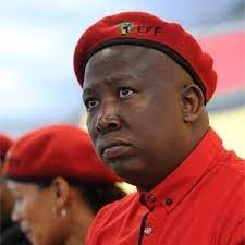 The eff has called for the removal of newzroom afrika presenter stephen grootes. The Eff Has Pronounced On You Julius Malema Warns Pravin Gordhan News24