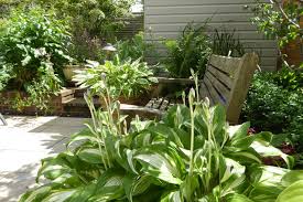Small Town Garden No Lawn Contemporary Landscape Hertfordshire By Amanda Shipman Desig Backyard Landscaping Designs Urban Backyard Backyard Landscaping