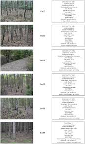 Brion o'connor smart for life is a diet that appears to fly in the face of the axiom: Land Free Full Text How Do Observable Characteristics Of Post Mining Forests Affect Their Attractiveness For Recreation Html