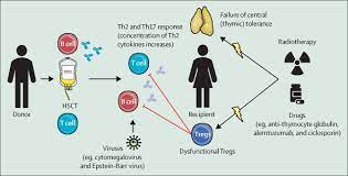 (2) utilization of other stem cell sources. Immune Cytopenia After Allogeneic Haematopoietic Stem Cell Transplantation Challenges Approaches And Future Directions The Lancet Haematology