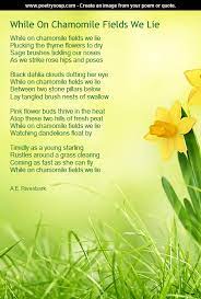 Summer Love Poetry Dry Sage Thyme Flower Summer Of Love