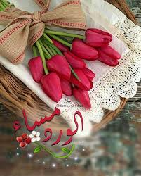 صبح و مساء S Instagram Post مساء الورد مساء مسائيات مساء النور مساء السع In 2020 Good Morning Sunday Images Good Morning Greetings Night Wishes