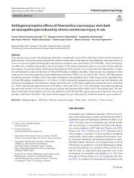 Image result for Petersianthus macrocarpus