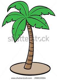 What kind of illustration is a palm tree? Cartoon Galery Net Cartoon Palm Leaf Drawing