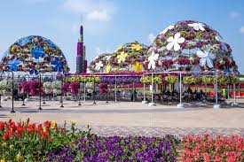 Https Www Google Com Search Q Miracle Garden Dubai 2018 Dubai Travel Dubai Miracle Garden