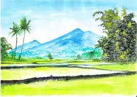 Lukisan di kertas linen 50cm x 40cm, dengan cat air. Lukisan Pensil Pemandangan Sawah Padi Cikimm Com