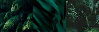 Twitter header quotes cute twitter headers header tumblr twitter banner twitter backgrounds twitter layouts twitter header aesthetic phone screen wallpaper twitter cover. Green Header Darkgreen Twitter Header Header Green