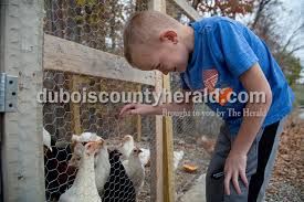 Week in Review 2016-11-06