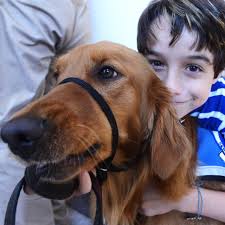 Service Dog Graduation held