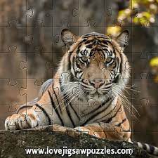 You can also sort by category (such as season, artist, or style) or brand. Tigers And Lions Nature And Animal Jigsaw Puzzle Games
